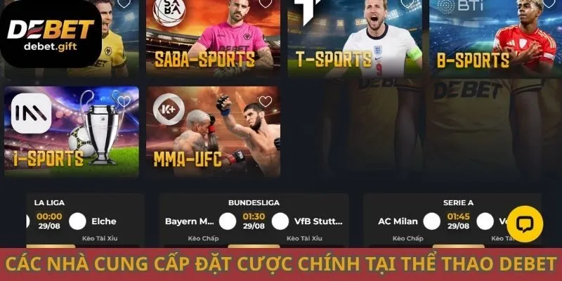 Các nhà cung cấp đặt cược chính tại thể thao Debet