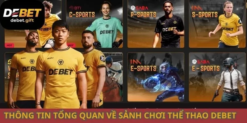 Thông tin tổng quan về sảnh chơi thể thao Debet